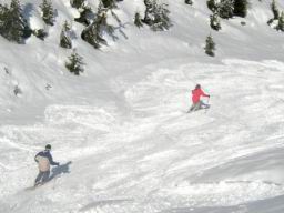 030313 127 Silvretta.JPG